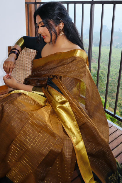 Golden Noir Silk Cotton saree