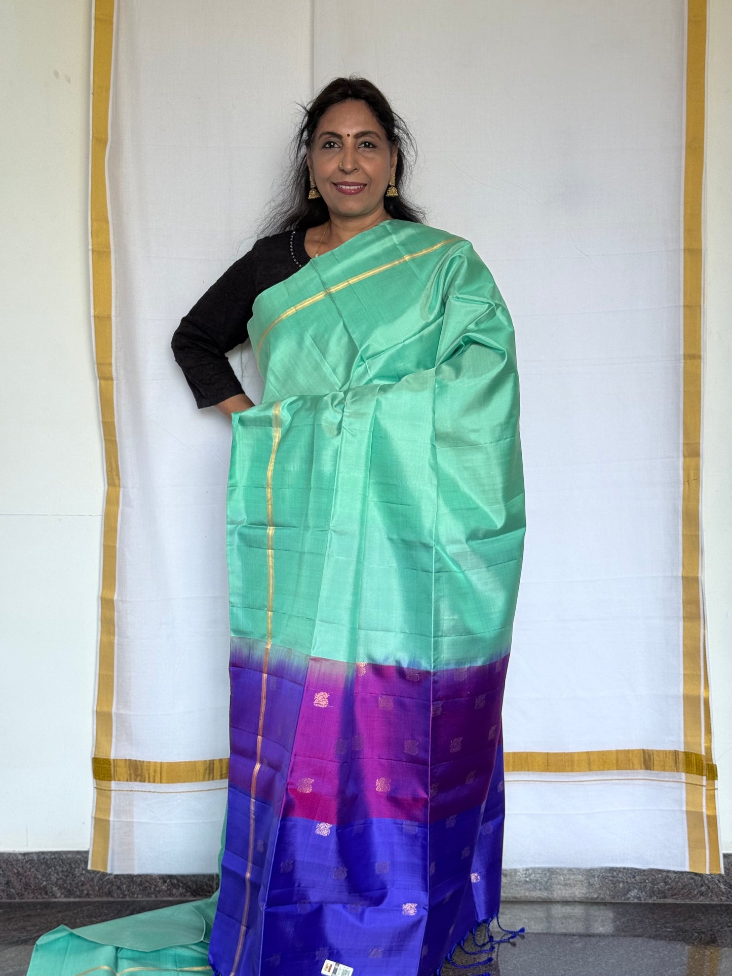 Soft silk saree - Double Shade Pallu