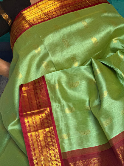 Green maroon Silk cotton Saree