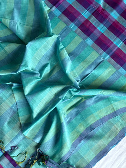 Mangalagiri Checked Cotton saree