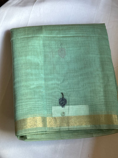 Pastel green semi matka saree